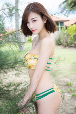 藏海花电视剧全集在线观看 免费_4K影视在线观看