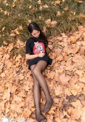 仙踪林在线视频_1080P免费播放
