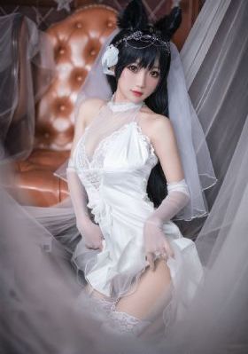扫黑风暴40集免费播放_在线视频免费观看